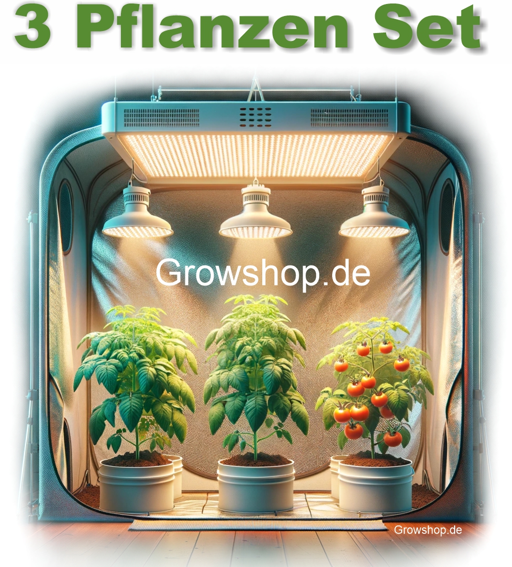 3 Pflanzen Anzucht Set Grow Set