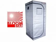 BloomStar