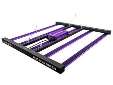 LED Grow Lampen