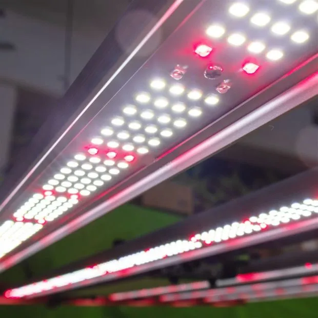 Nahaufnahme - BloomStar Pro 720 3.0 DUAL-Spec