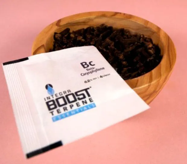 Integra Boost Terpene Cariophylene 4g 62%