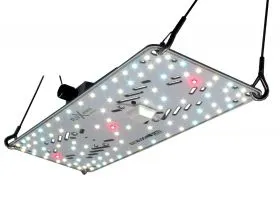 BloomStar FLUXshield Habibi 150-50W - Vollspektrum BloomStar FLUXshield Habibi 150-50W - Vollspektrum