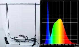 BloomStar Habibi Board 75W SET 5000K