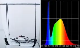 BloomStar Habibi Board 75W SET 5000K + DIMMER