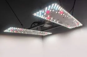 Crescience Wingman 600L - 220 Watt Vollspektrum LED