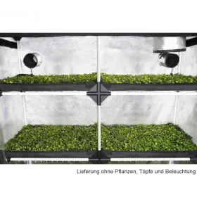 GHP Probox Propagator XL 120x40x200 - Pflanzen-Aufzuchtzelt