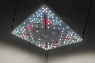 Crescience FLUXshield Silver 300 Grow Lampe