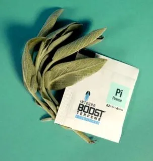 Integra Boost Terpene Pinene 4g 62%